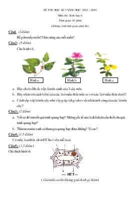 Đề thi học kì I năm học 2015 - 2016 môn thi sinh học 6 thời gian 45 phút